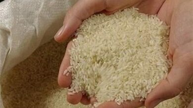 کلاهبرداری بزرگ در بازار برنج برنج پاکستانی زیر پوشش برند ایرانی