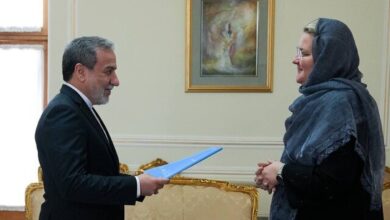 رئیس جدید دفتر یونیسف در ایران اعتبارنامه خود را تقدیم عراقچی کرد