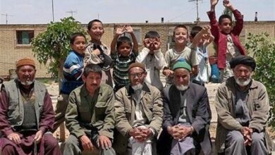 اتباع افغان در ایران،عامل فشار به منابع اقتصادی و تهدید یارانه‌ها