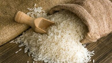 یک میلیون تن برنج وارداتی گم شد در بازار برنج چه می‌گذرد؟