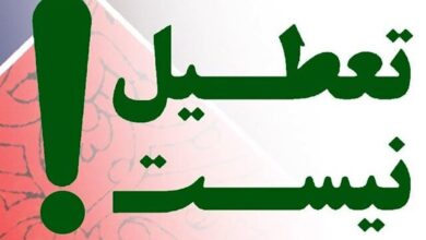 مهاجرانی: نه شنبهها، نه چهارشنبهها نه یک هفته تعطیل نیست