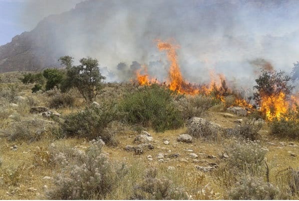 آتش سوزی گسترده در ارتفاعات «گیسکان» دشتستان آتش سوزی گسترده در ارتفاعات «گیسکان» دشتستان