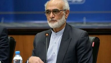 وزیر اسبق اقتصاد: تثبیت هوشمندانه نرخ ارز ضرورت امروز اقتصاد ایران