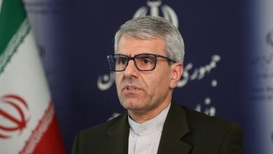 بقائی: پیگیری‌ها برای آزادی مشروط و انتقال مهدیه اسفندیاری به مکانی خارج از زندان ادامه دارد