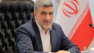 رئیس سازمان بورس: عرضه خودروهای وارداتی طی روزهای آتی آغاز می شود