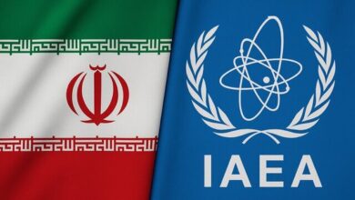نهایی‌شدن شیوه‌نامه تعامل ایران و آژانس
