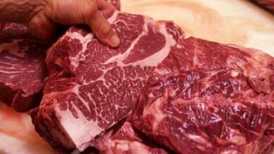 ثبات شکننده در بازار گوشت قرمز؛ بدون شوک قیمتی