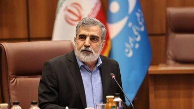کمالوندی: به‌رغم سنگ‌اندازی آمریکا، برای تصویب قطعنامه پیشنهادی ایران تلاش می‌کنیم
