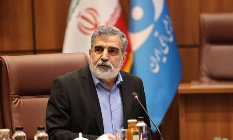کمالوندی: بهرغم سنگاندازی آمریکا، برای تصویب قطعنامه پیشنهادی ایران تلاش میکنیم