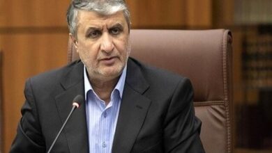 اسلامی: ازسرگیری بازرسی‌ها مشروط به اتخاذ «تدابیر ویژه» است