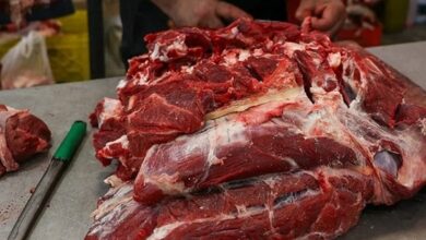 سکوت معنادار مسئولان مقابل گرانی افسارگسیخته گوشت قرمز