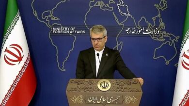 بقائی: از گفت‌وگو با هیچ طرفی واهمه نداریم
