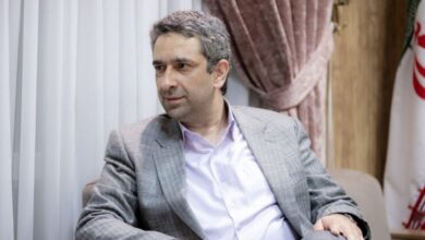 طباطبایی: دولت چهاردهم هیچ مشکلی با نقد ندارد