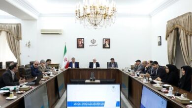 عارف: طرح اصلاح زنجیره عرضه آرد و نان در دستور کار دولت است