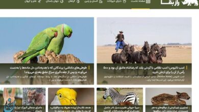 سایت راز بقا؛ اولین مرجع تخصصی حیات‌وحش ایران و جهان