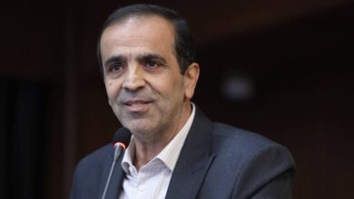 مهران تیشه‌گران سرپرست فدراسیون رویینگ شد