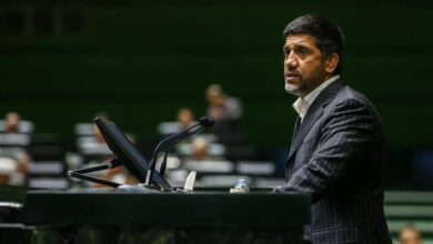 نمایندگان مجلس: نشان خدمت به علیرضا دبیر اهدا شود