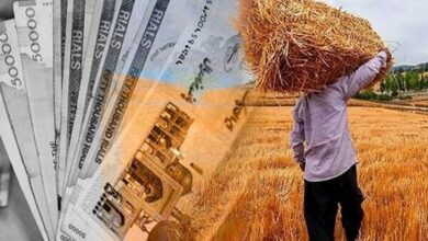تکذیب ادعای پرداخت کامل مطالبات گندم کاران