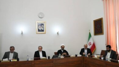 عراقچی: شرایط برای ورود ایرانیان پناهنده به کشور فراهم است