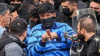 جزئیات توقف اجرای قصاص قاتل امیرمحمد خالقی از زبان برادرش