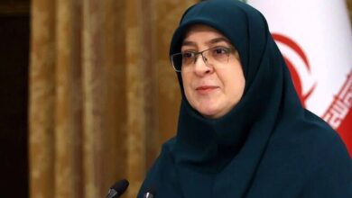 مهاجرانی: دولت کارگروه‌هایی برای رفع موانع تولیدکنندگان تشکیل داده است
