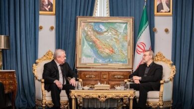 تشکر لاریجانی از همراهی روسیه با ایران در سازمان ملل (+عکس)