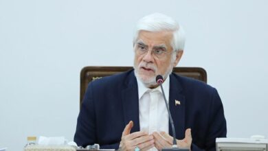 عارف: وسواس ما در مرزها زیاد است