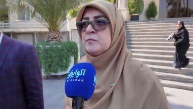 مهاجرانی: درخواست ایران برای نشست با سه کشور اروپایی و ویتکاف در نیویورک رد شد