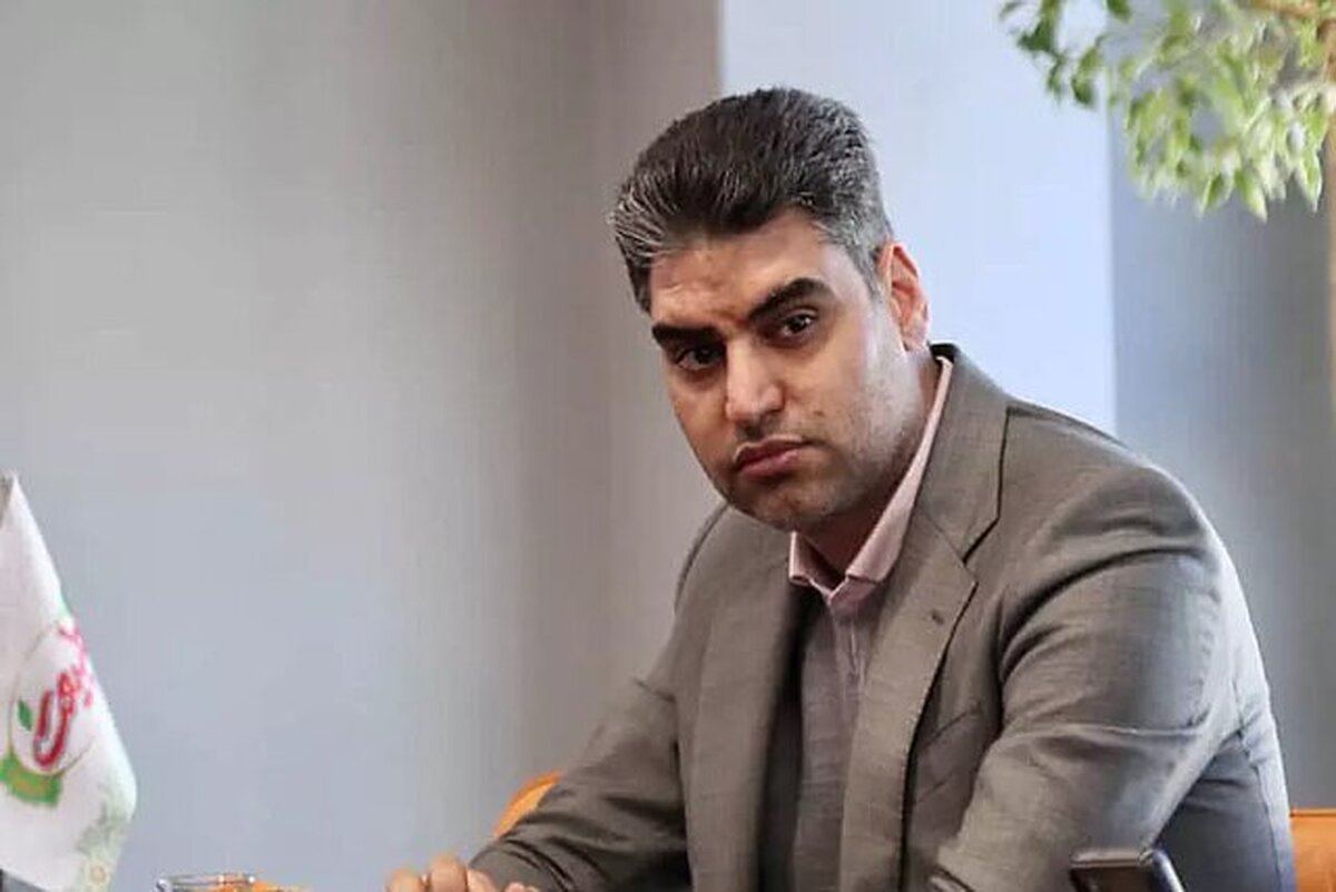 پیمان حدادی مدیرعامل باشگاه پرسپولیس شد