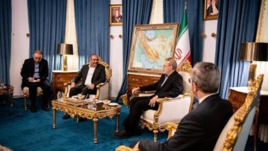 لاریجانی: روابط ایران و پاکستان می‌تواند به سطح شراکت راهبردی ارتقا یابد