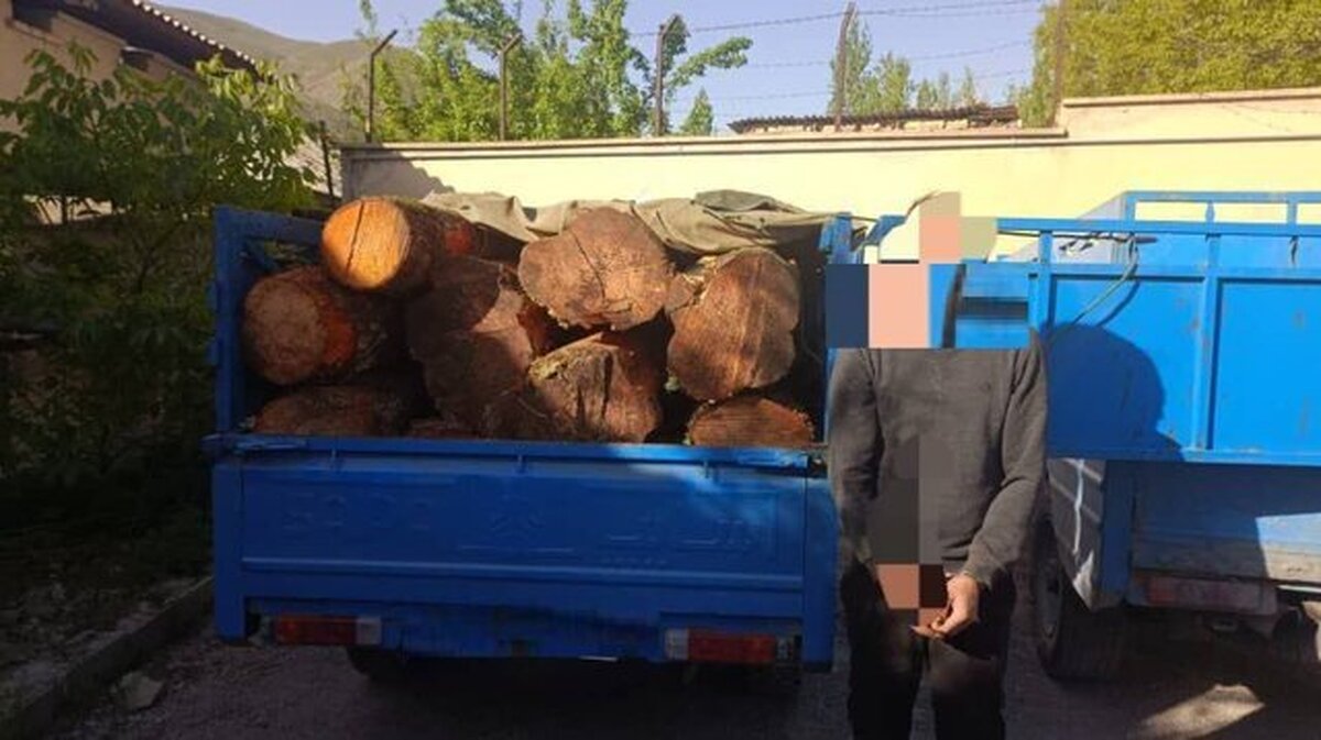 بازداشت ۴ قرقبان و نگهبان جنگلهای مازندران بخاطر تبانی با قاچاقچیان چوب