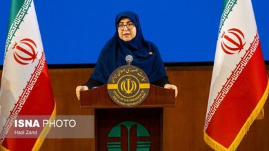 سخنگوی دولت: هیچ نگرانی درباره ذخایر مرغ کشور وجود ندارد